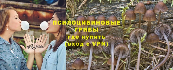 мдпв Алзамай
