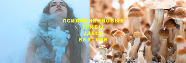 соль ск Алексин