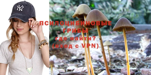 соль ск Алексин