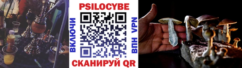 где продают   omg как зайти  Псилоцибиновые грибы мицелий  Цимлянск 